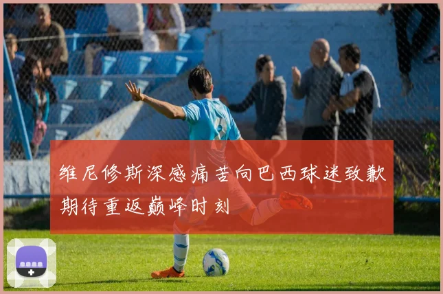 维尼修斯深感痛苦向巴西球迷致歉期待重返巅峰时刻